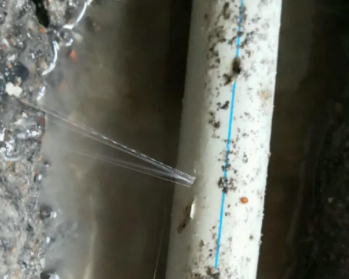 万全卫生间测漏水多少钱